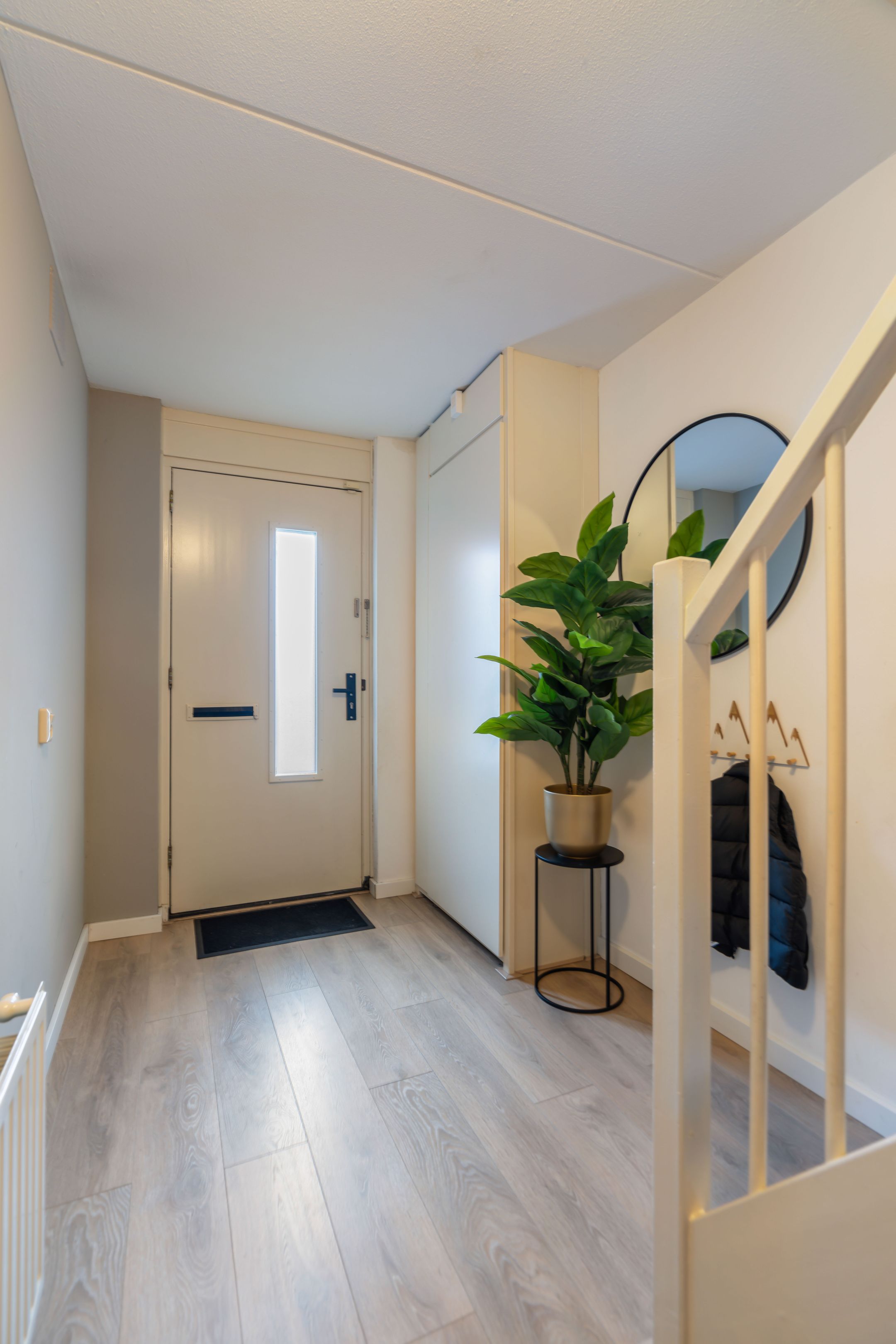 Foto 12 van Beltmolen 50