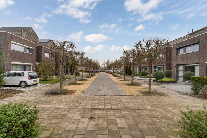 Foto 51 van Beltmolen 50