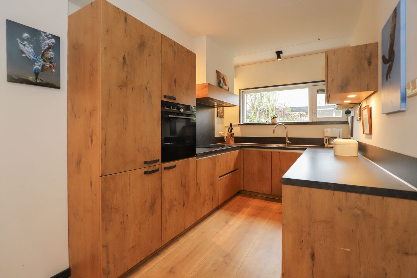 Foto 10 van Dassenburcht 51