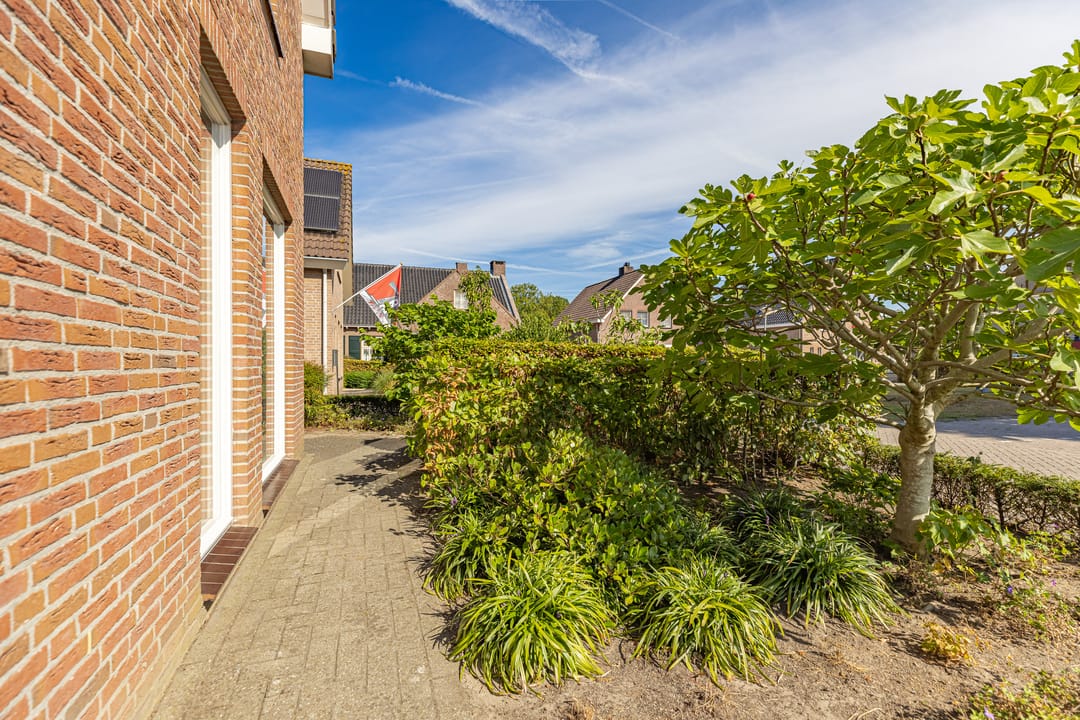 Foto 46 van Zandweide 24