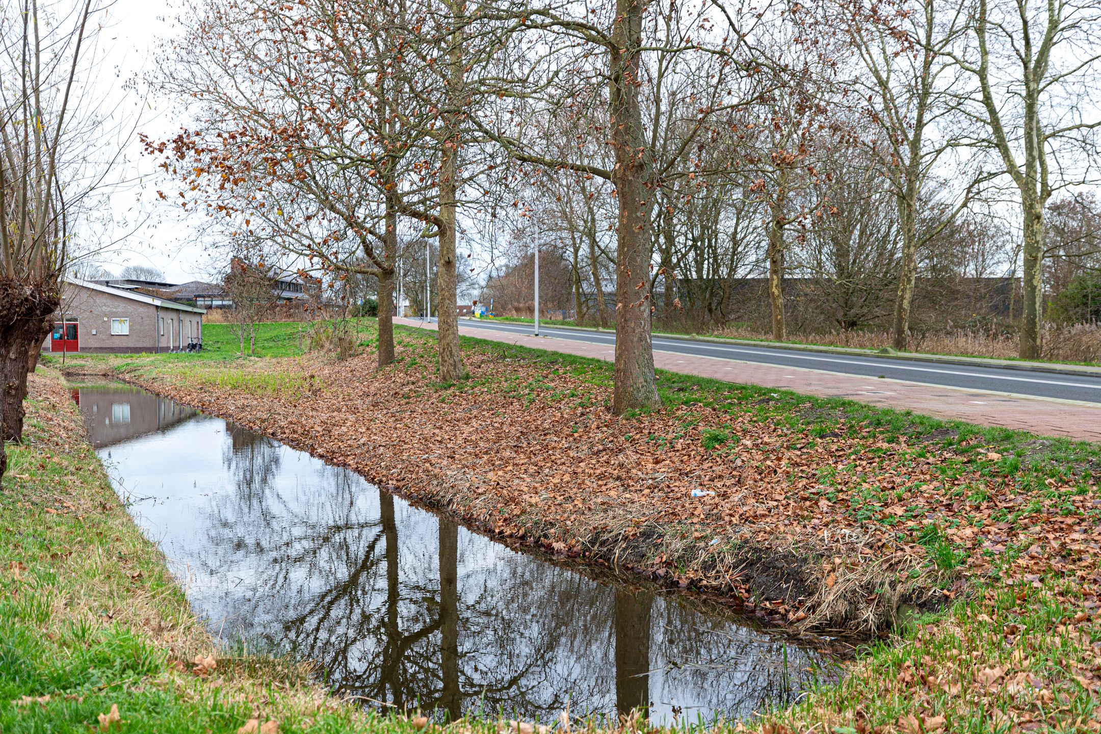 Foto 42 van Mauritslaan 6