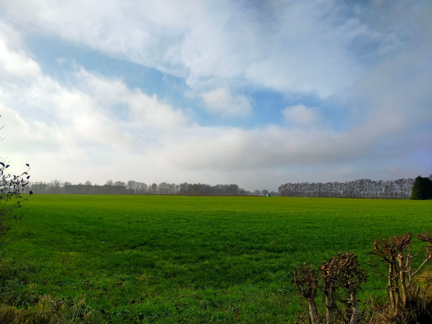 View photo 2 of Bergsebaan