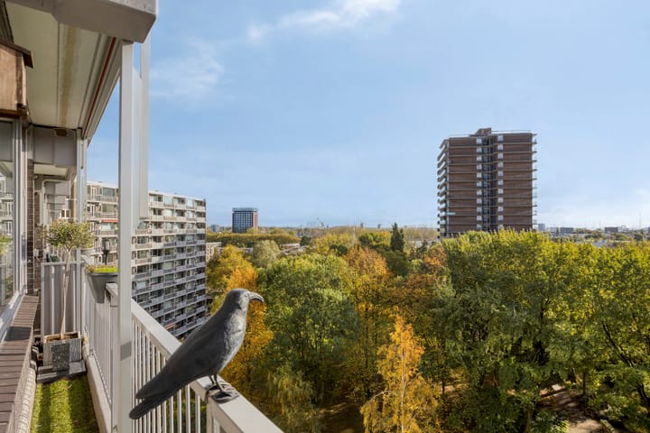 Foto 15 van Chopinplein 228