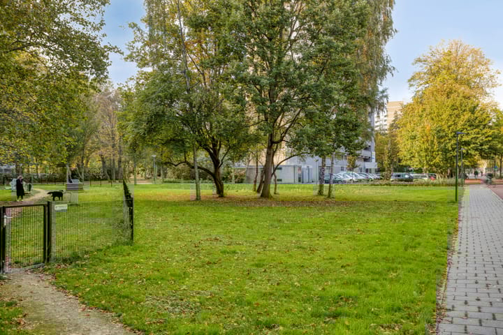 Foto 29 van Chopinplein 228