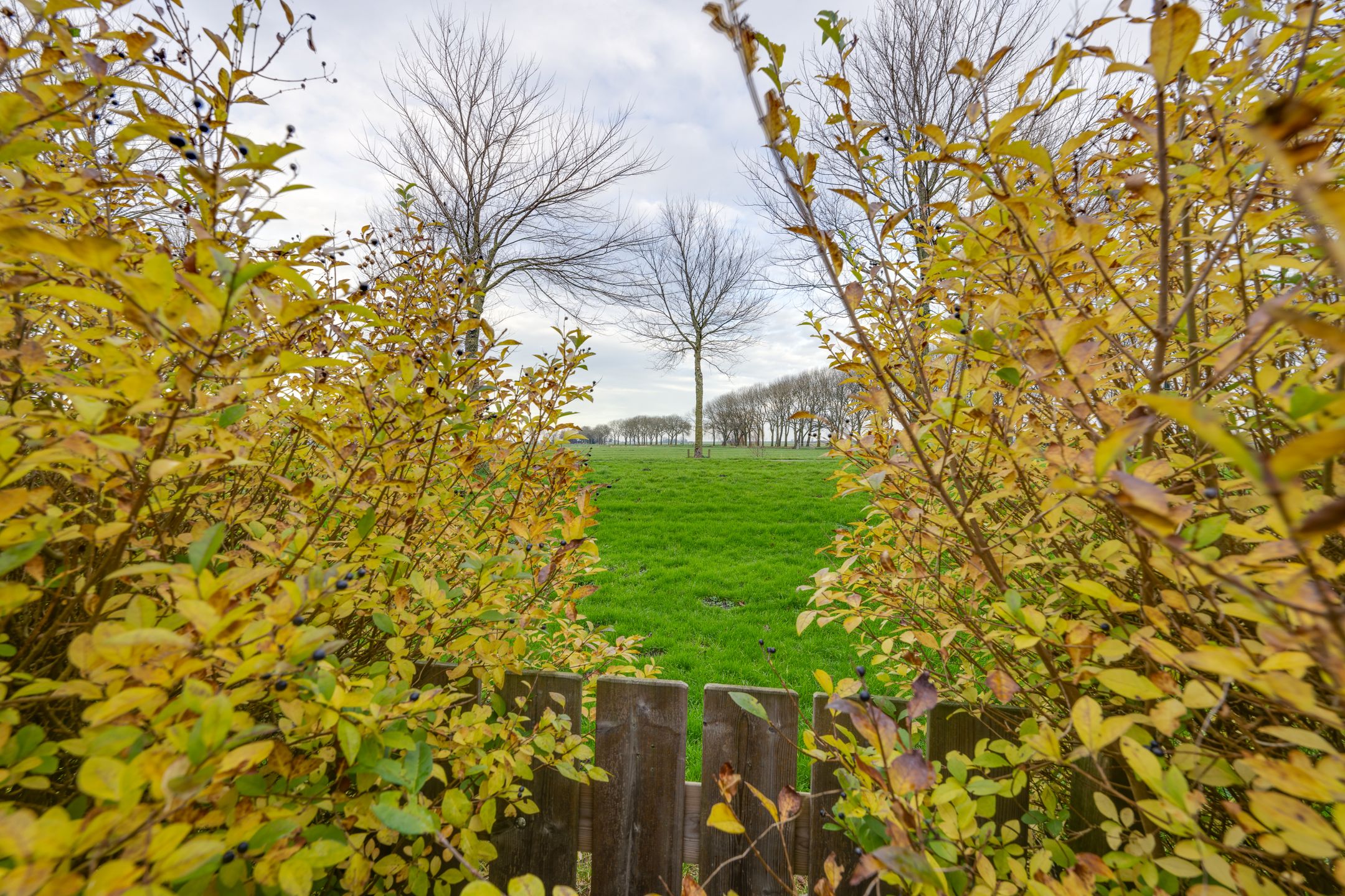 Photo 30 of Noorderstraat 6