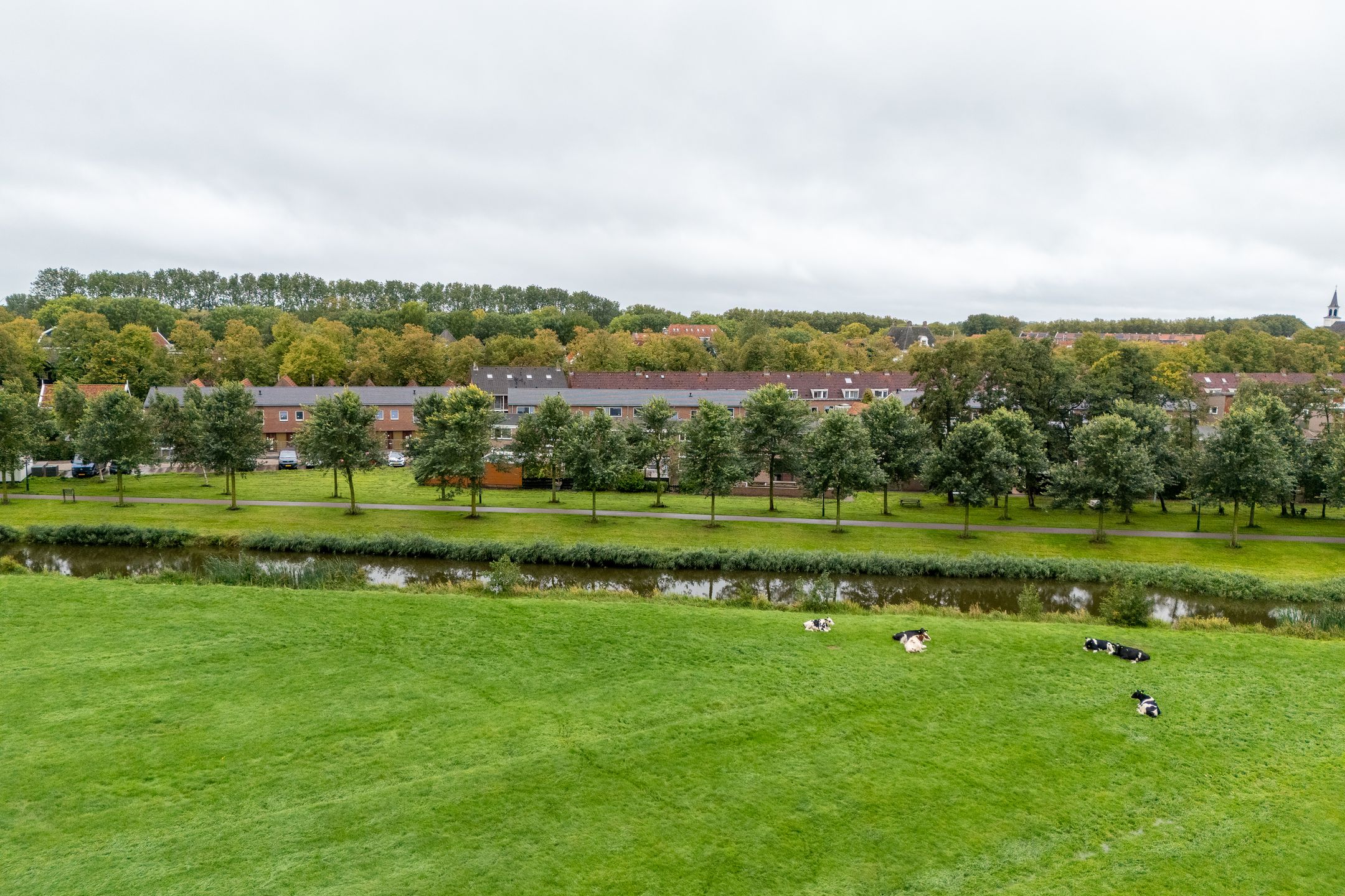 Photo 51 of Noorderstraat 6