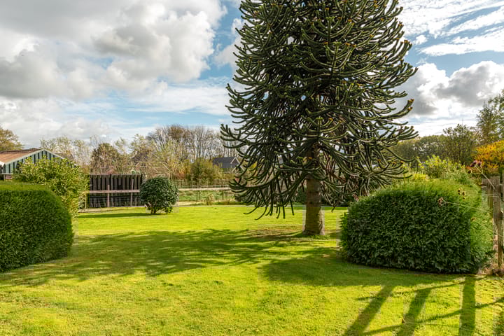 Foto 9 van Buorren 74