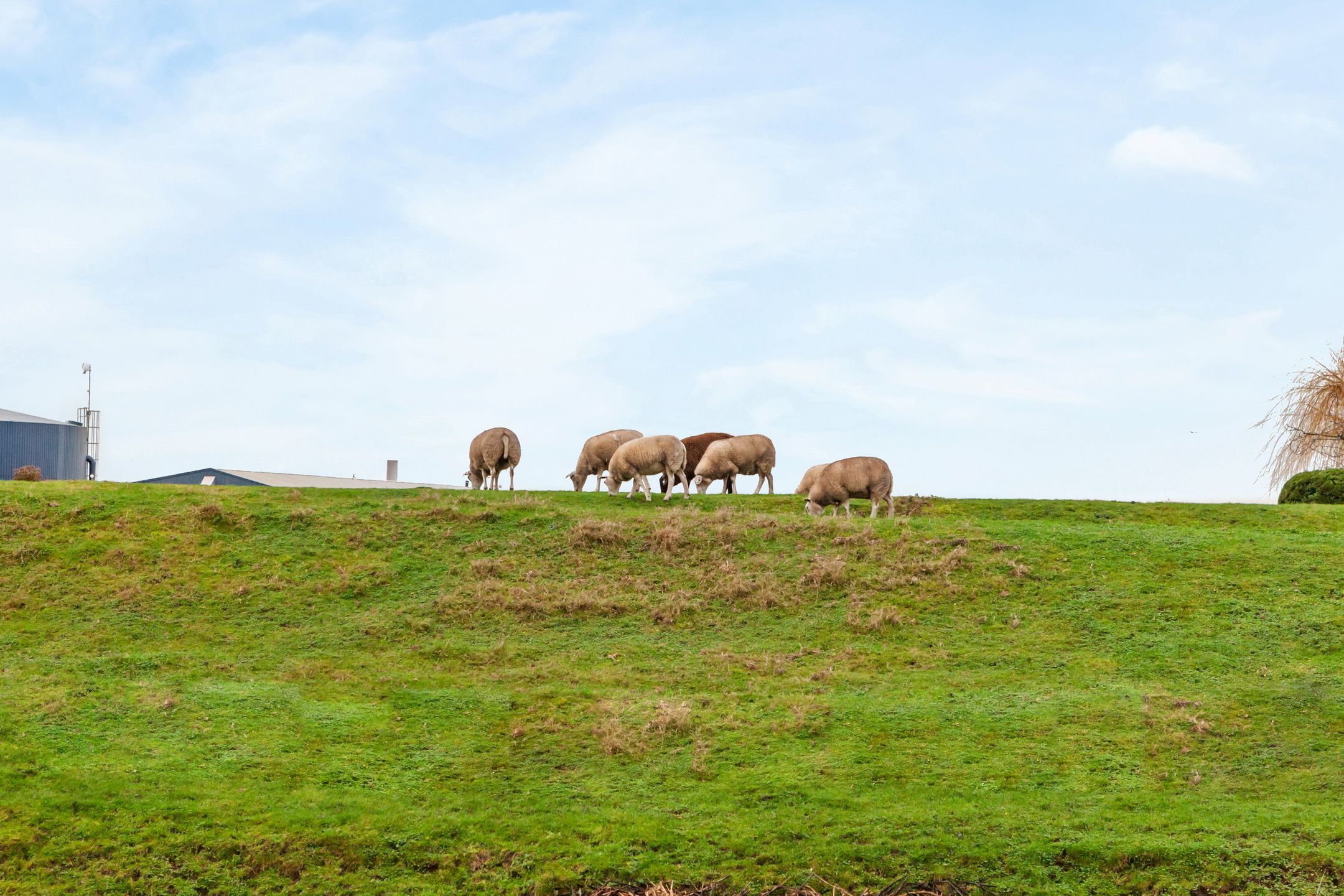 Foto 33 van Brederolaan 40