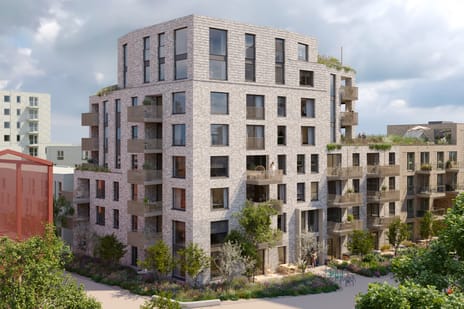 Schapengras 100 secondary image