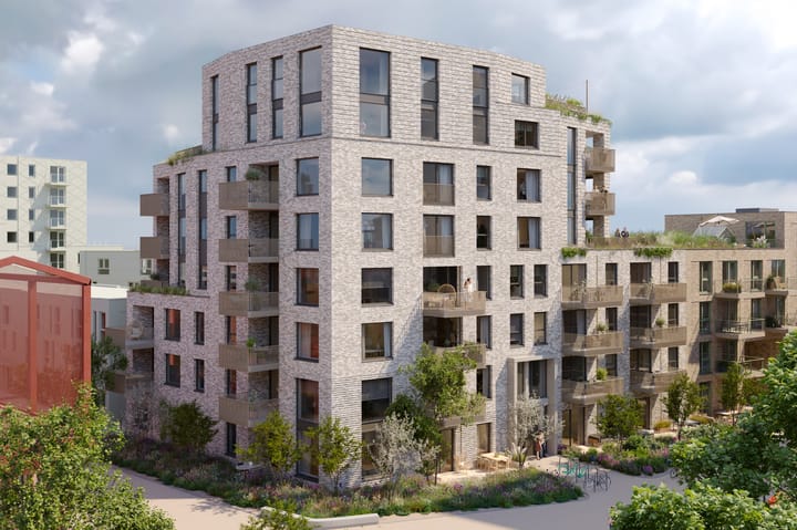 Foto 8 van Schapengras 100