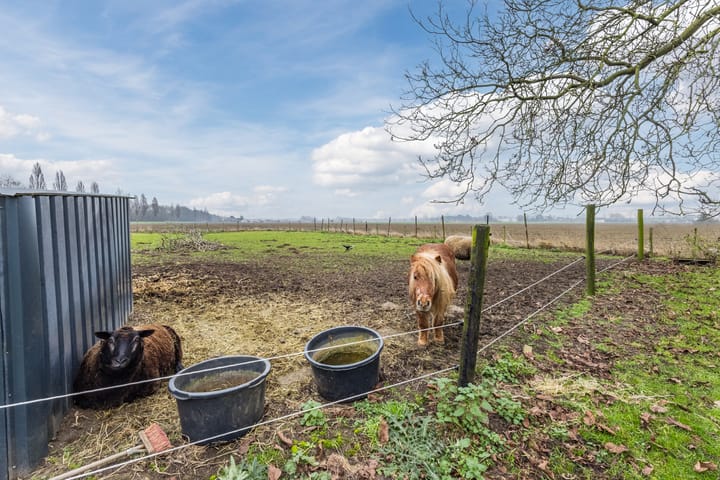 Foto 48 van Biezenburgseweg 2-A