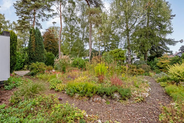 Photo 51 of van Wassenaar van Obdamstraat 7