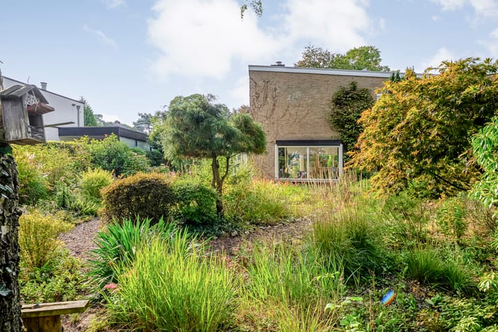 Photo 52 of van Wassenaar van Obdamstraat 7