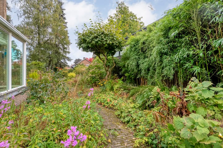 Photo 55 of van Wassenaar van Obdamstraat 7