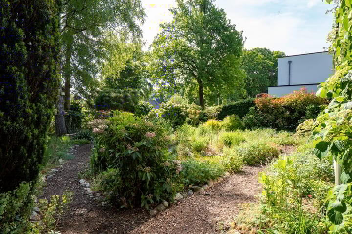 Photo 57 of van Wassenaar van Obdamstraat 7