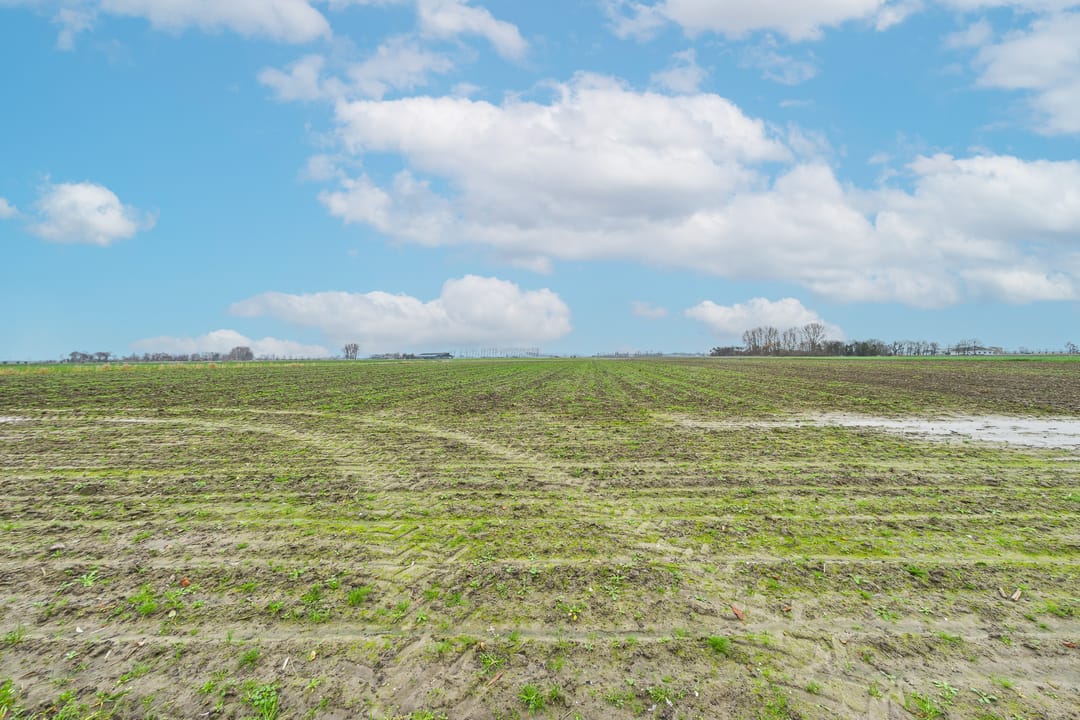 Foto 32 van Plevierstraat 3