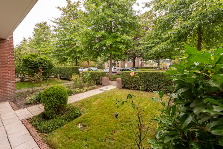 Foto 41 van Schout Backstraat 34