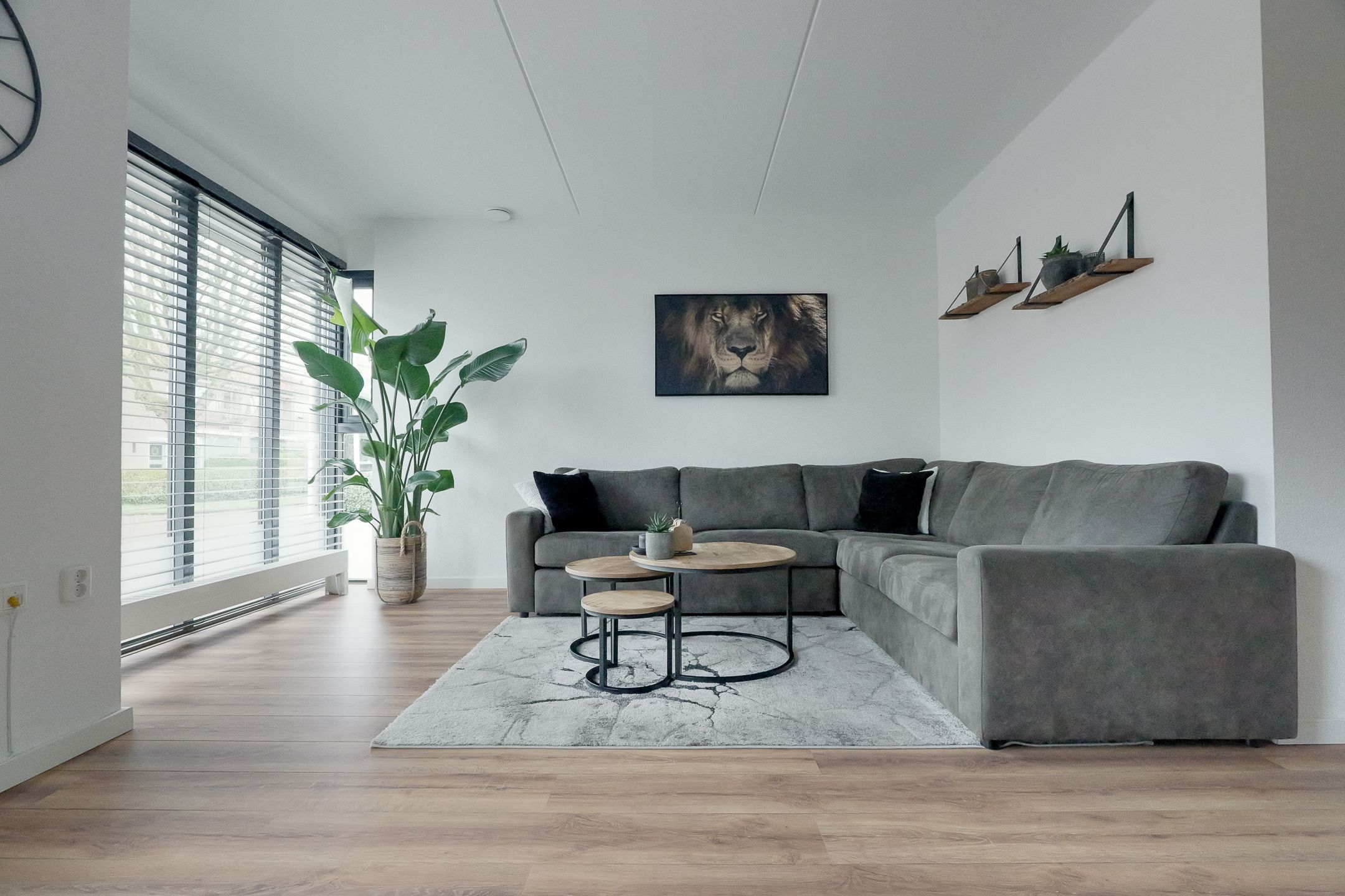 Foto 9 van Skoallepaad 8