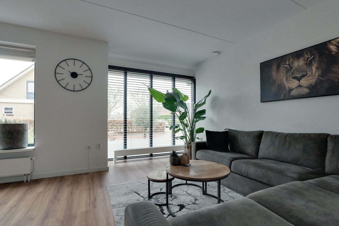 Foto 10 van Skoallepaad 8