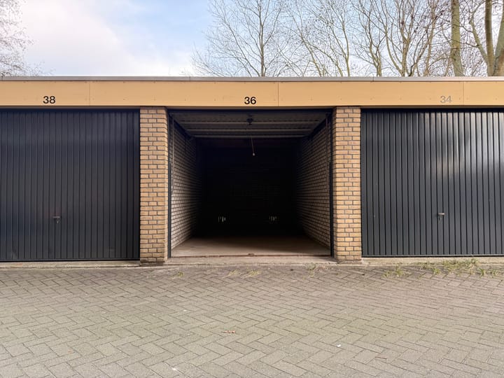 Foto 2 van Lupinesingel 36