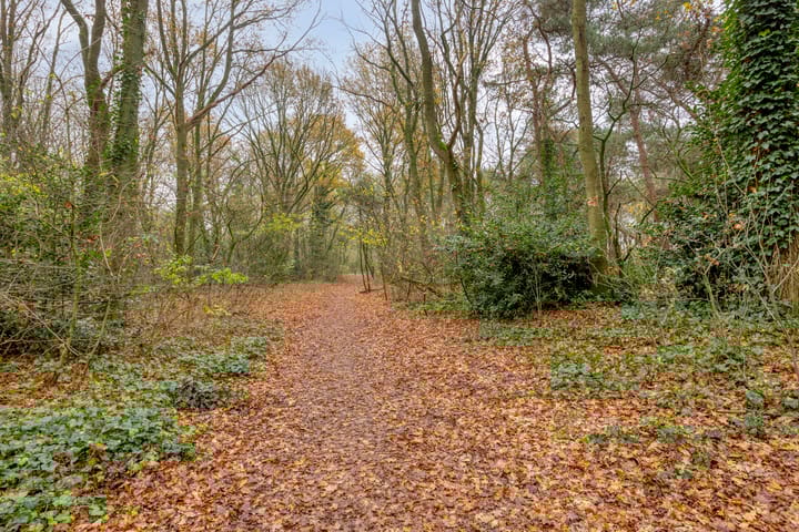 Foto 26 van Donkervoortseloop 63