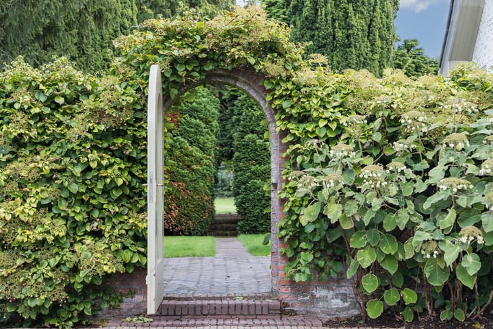 Foto 44 van Oliemolensingel 135