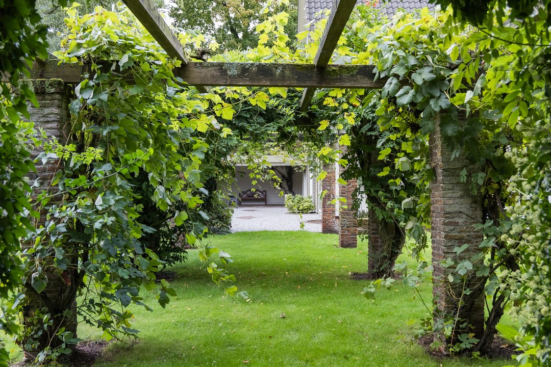 Photo 47 of Oliemolensingel 135