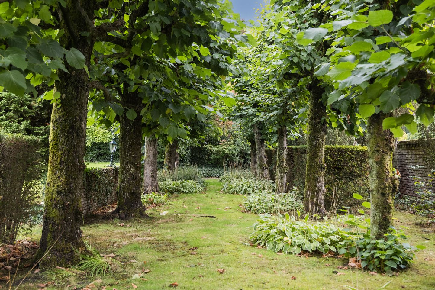 Photo 55 of Oliemolensingel 135