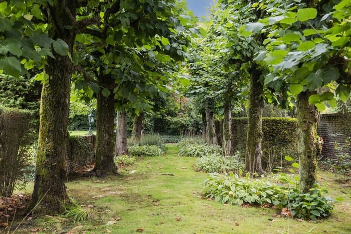 Foto 55 van Oliemolensingel 135