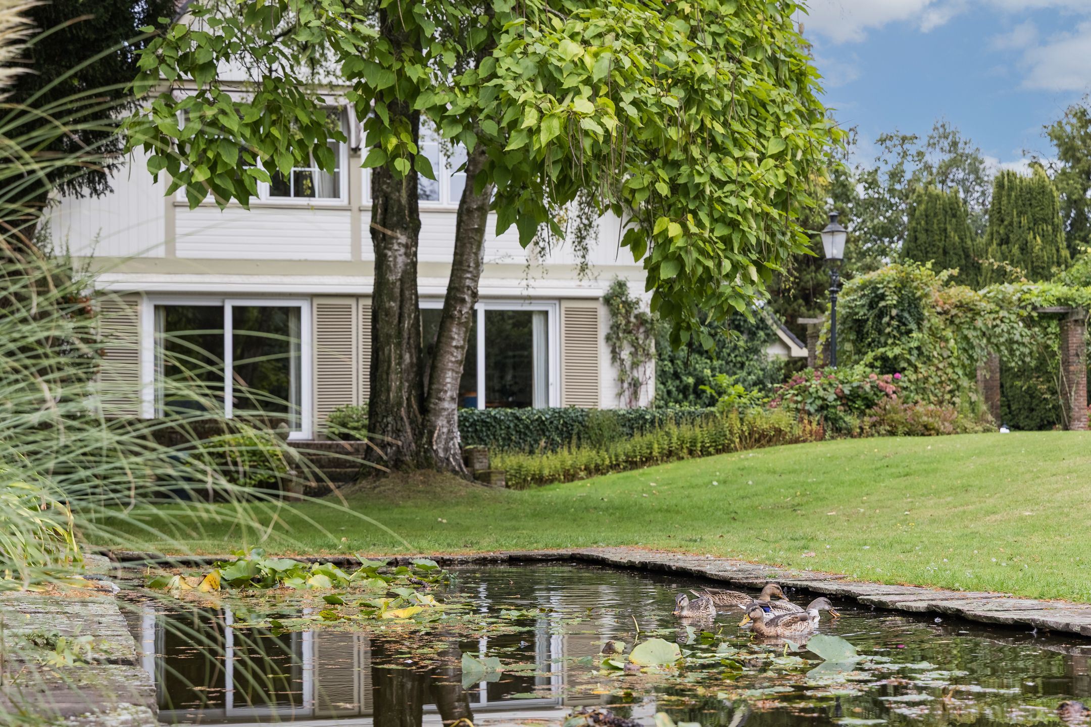 Photo 51 of Oliemolensingel 135