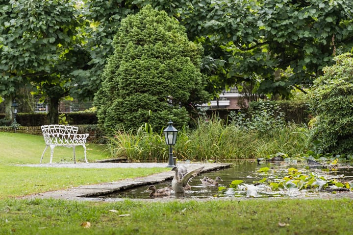 Foto 53 van Oliemolensingel 135