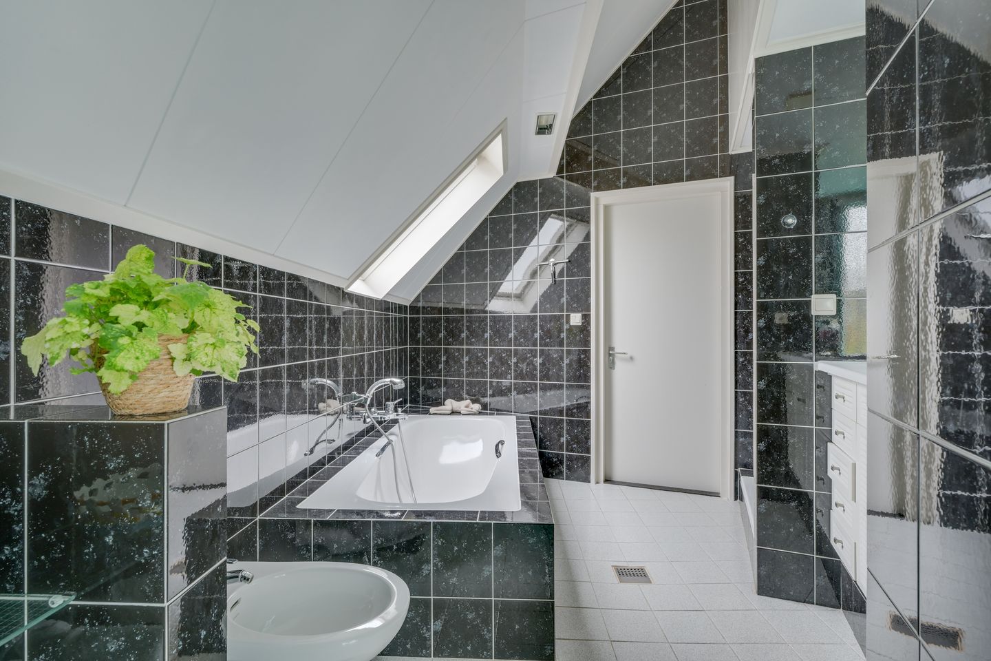 Photo 44 of Kwikstaart 4