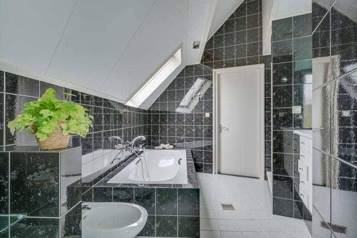 Photo 44 of Kwikstaart 4