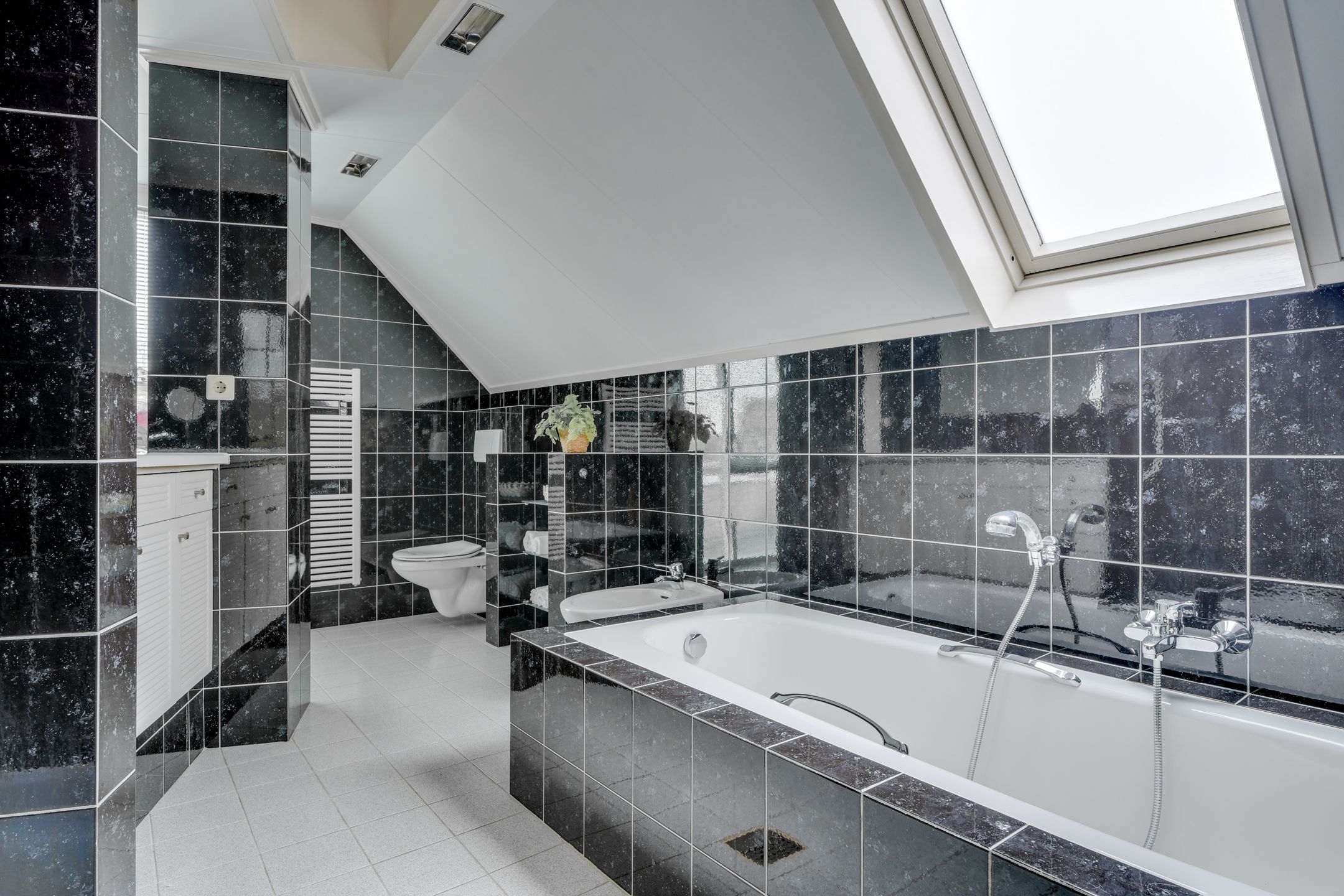 Photo 45 of Kwikstaart 4