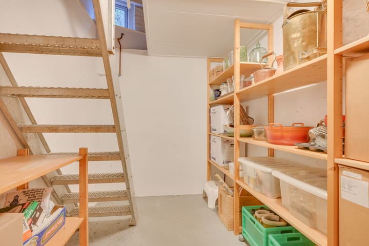 Photo 58 of Kwikstaart 4