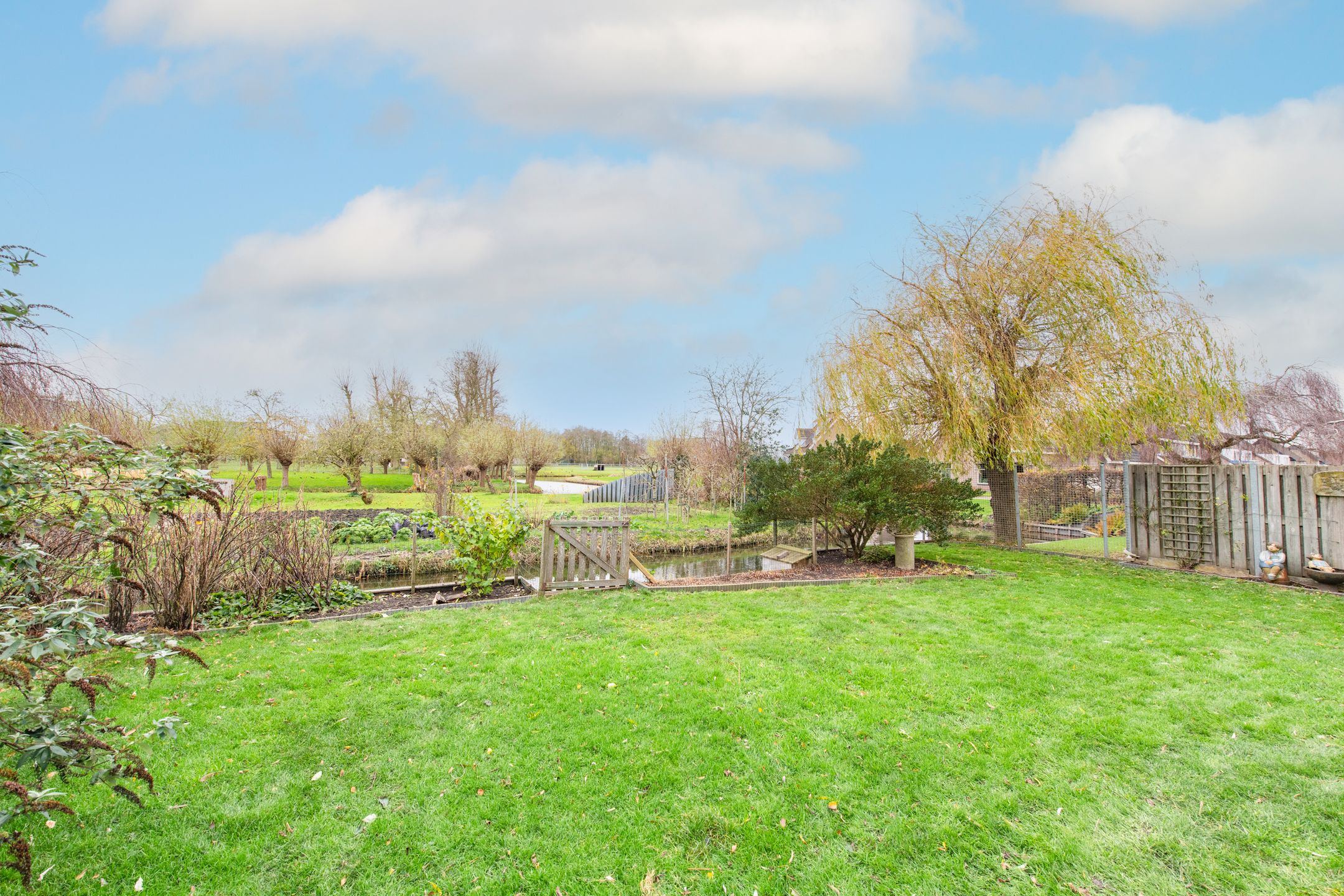 Photo 63 of Kwikstaart 4