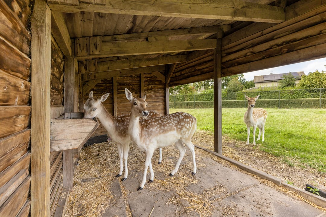 Foto 38 van Wethouder Marcuslaan 12