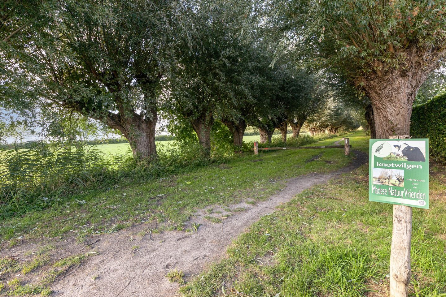 Foto 40 van Wethouder Marcuslaan 12