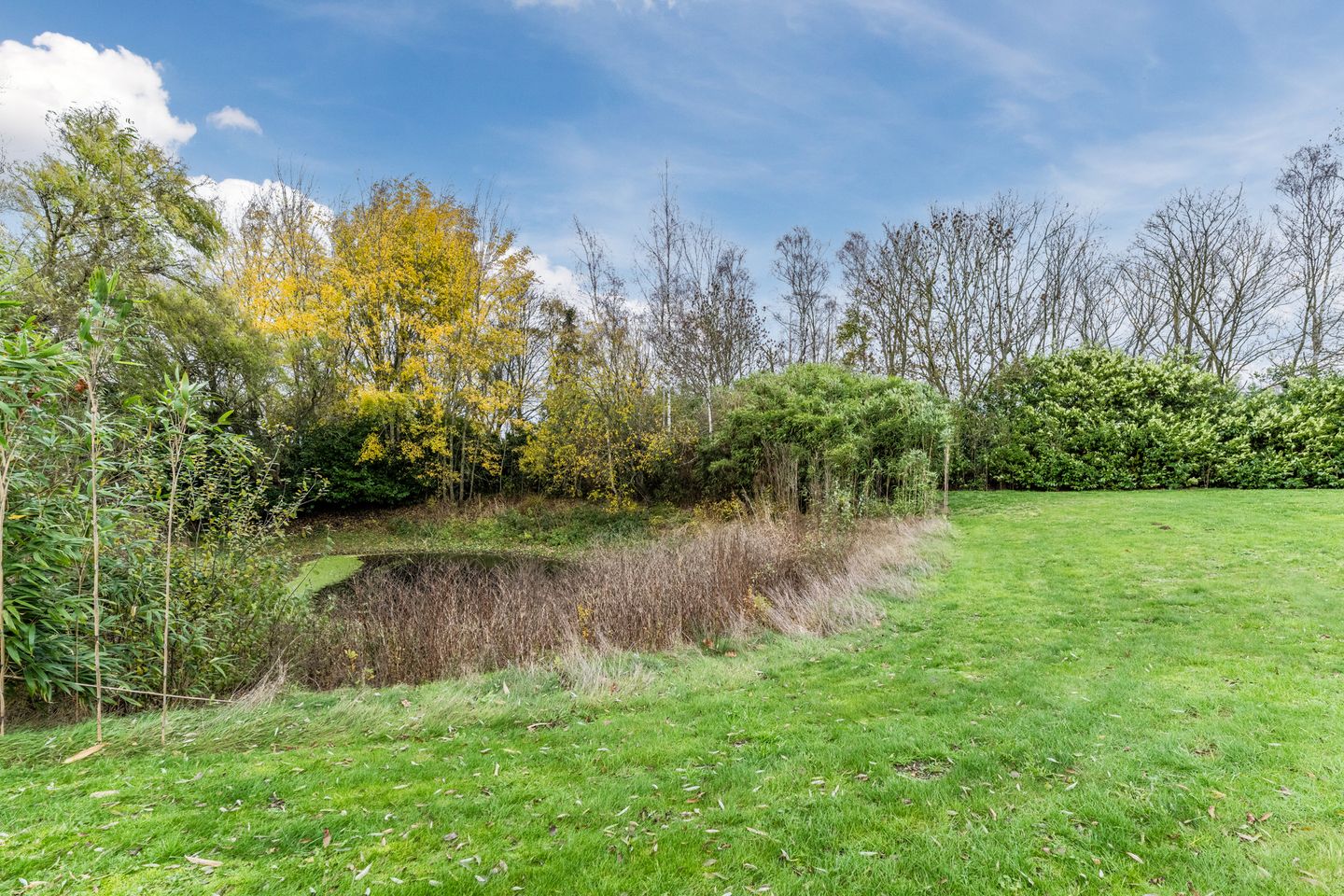 Foto 55 van Alphensebaan 18