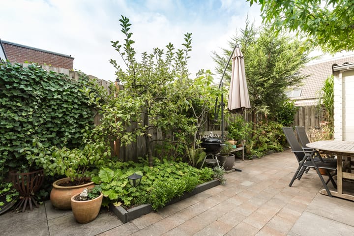 Photo 34 of Saturnus 40