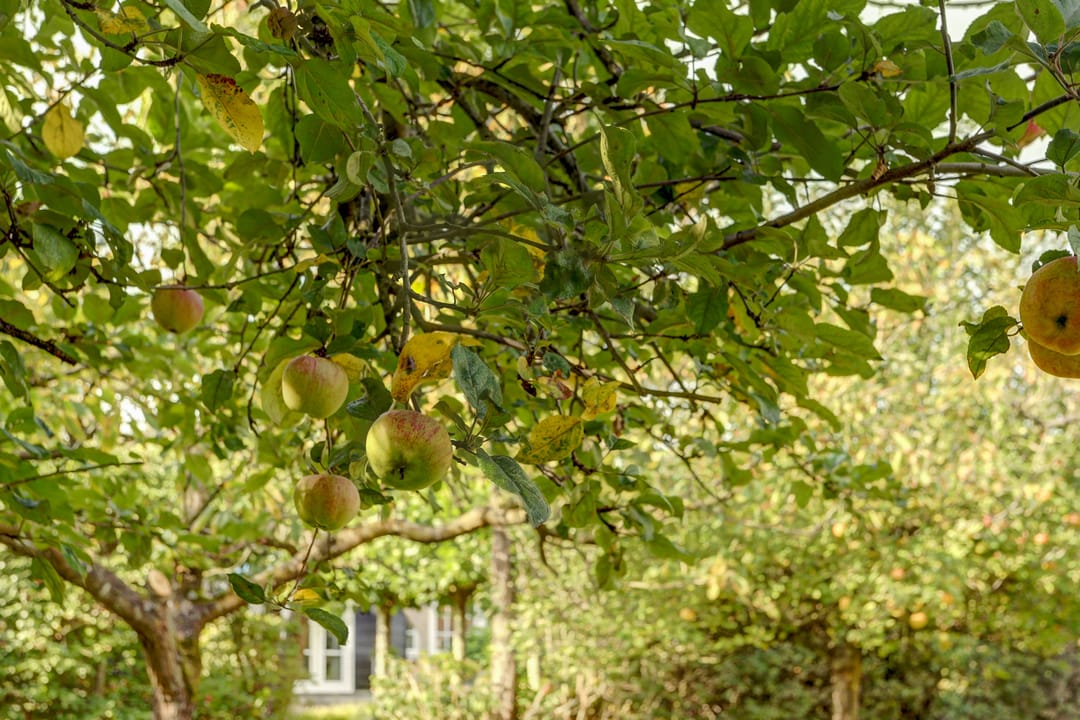 Photo 41 of Oude Zeedijk 1-B