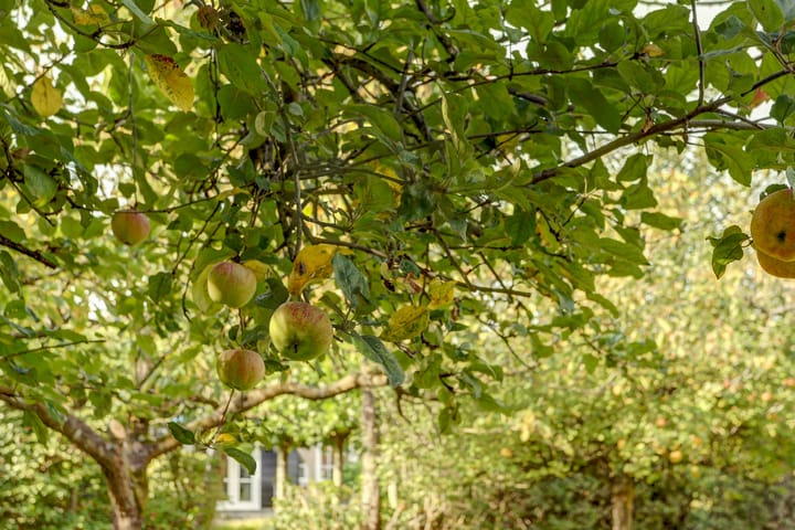 Photo 41 of Oude Zeedijk 1-B