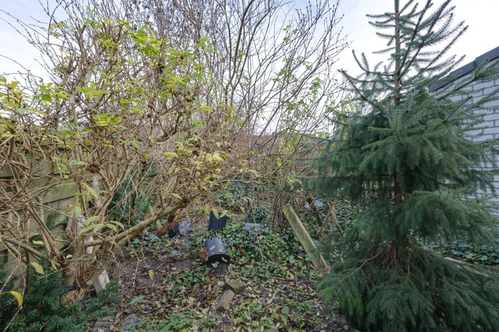 Photo 24 of Korenbloemweg 41