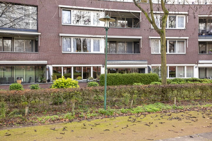 Foto 29 van Hofstraat 3