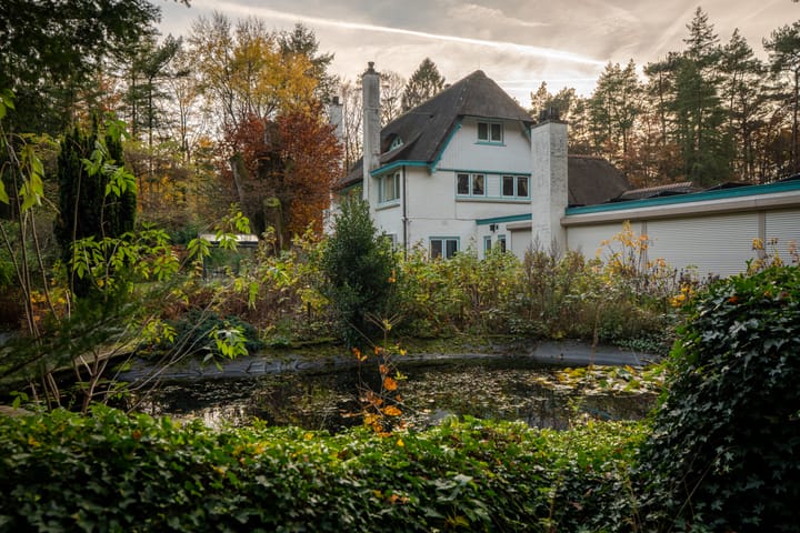 Photo 51 of Berkenlaan 4