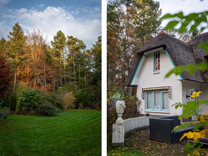 Photo 52 of Berkenlaan 4