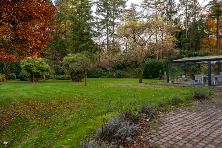 Photo 53 of Berkenlaan 4