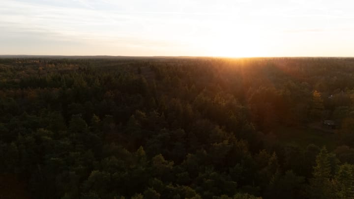 Photo 56 of Berkenlaan 4