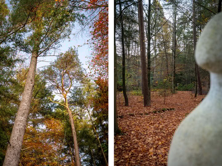 Photo 57 of Berkenlaan 4