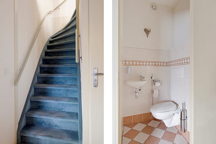 Foto 8 van Zwenkgras 22